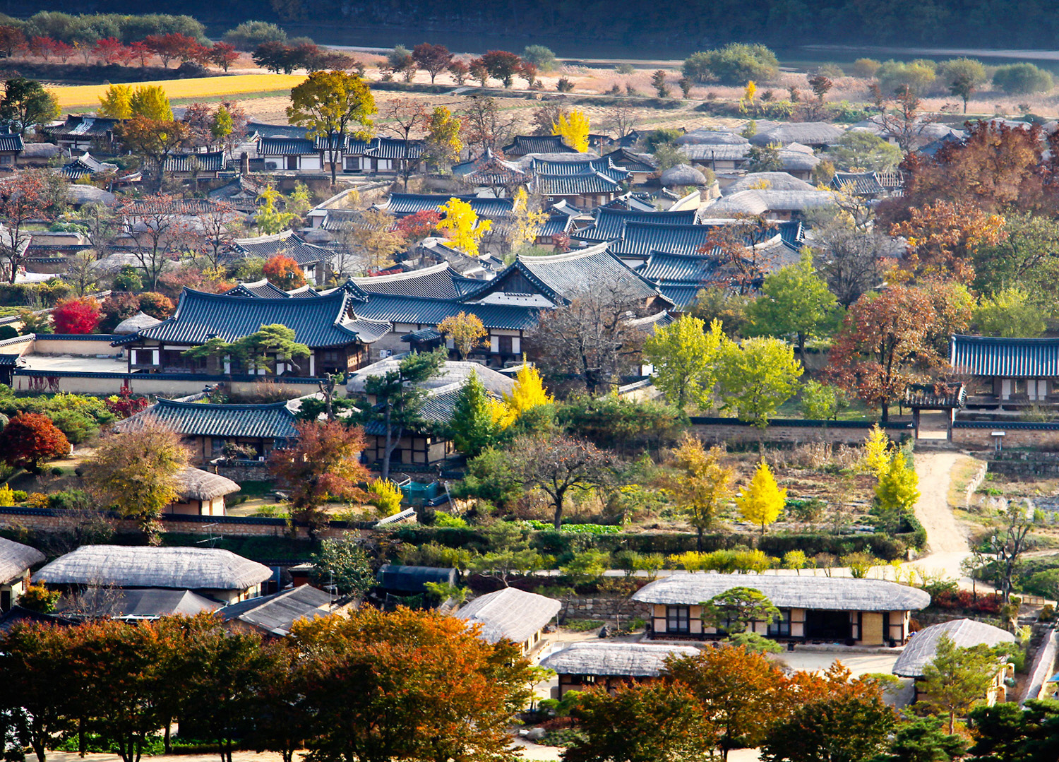 *고국* 단풍 특선 전국일주 9박10일(일) - 이미지 3